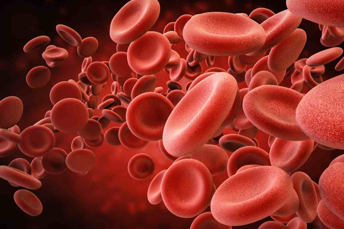 globuli rossi