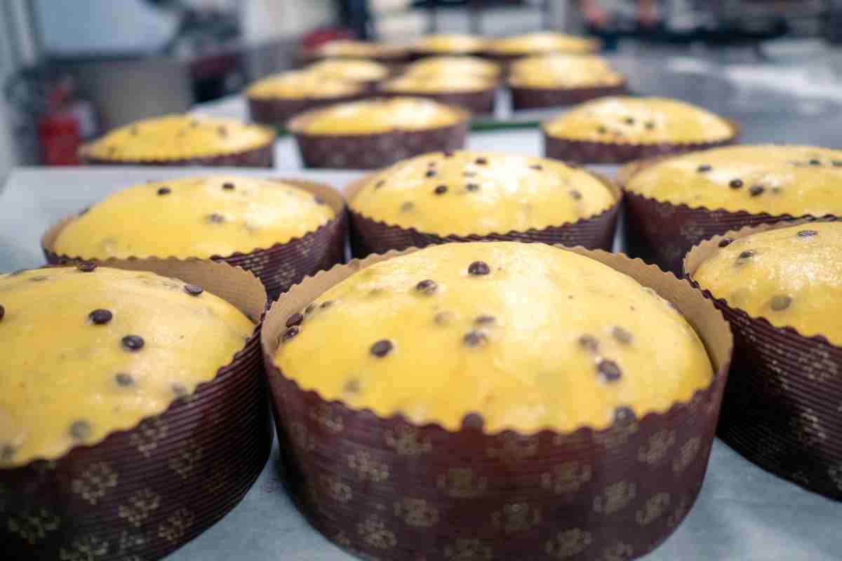 panettone più chiacchierato del natale 2025