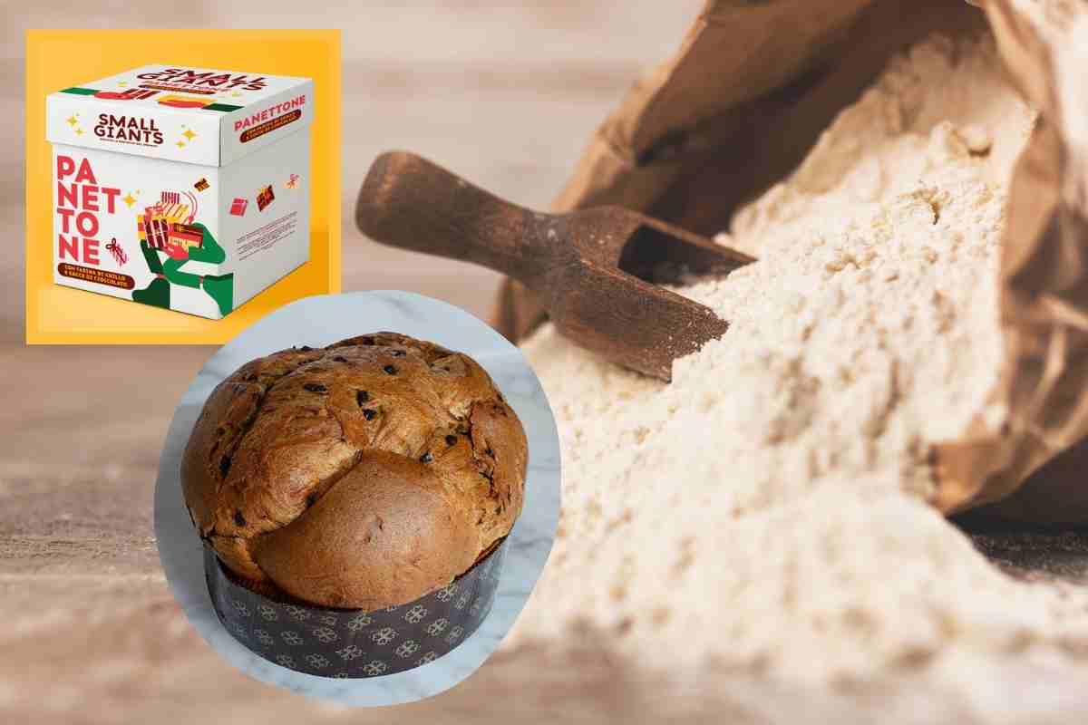 panettone più chiacchierato del natale 2025